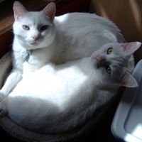 My boys, March 2009