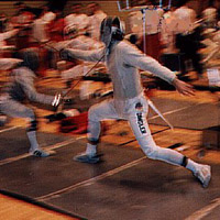 fencingwells.jpg (JPEG)